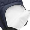 imageQuiksilver Mens Schoolie Cooler 20 Backpack Black 241 One SizeUltramarine