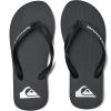 imageQuiksilver Girls Molokai Kids Flip Flop Youth SandalGrey 1