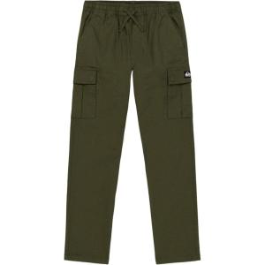 imageQuiksilver Boys Pullon Comfort Stretch DNA Beach PantsGrape Leaf Dna