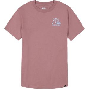 imageQuiksilver Boys Short Sleeve Logo Graphic TShirtGrape Shake Check