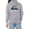imageQuiksilver Mens Mw Logo Hoody Hooded Fleece SweatshirtAthletic Heather Back Print