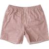 imageQuiksilver Mens Standard Deck Stripe Volley Swim Trunk Bathing SuitBiking Red Deck Stripe