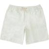 imageQuiksilver Mens Standard Deck Stripe Volley Swim Trunk Bathing SuitSubtle Green Deck Stripe