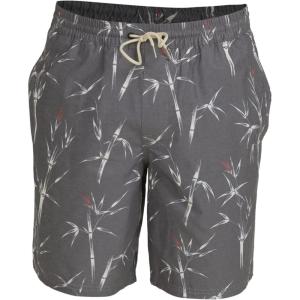 imageQuiksilver Mens Standard Deck Stripe Volley Swim Trunk Bathing SuitBlack Pre Chopsticks Volley