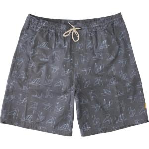 imageQuiksilver Mens Standard Deck Stripe Volley Swim Trunk Bathing SuitFin PartyBlack