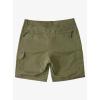 imageQuiksilver Mens Maldive 9 ShortsFour Leaf Clover