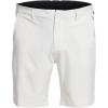 imageQuiksilver Mens Backwater Amphibian 20 Stretch Hybrid ShortsRainy Day