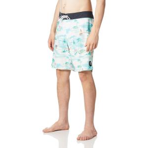 imageQuiksilver Mens Standard Surfsilk Stretch 19 Inch Boardshort Swim TrunkFjord Blue Eqybs04524
