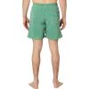 imageQuiksilver Mens Standard Everyday Surfwash 17 Volley Boardshort Swim TrunkFrosty Spruce 241