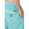 imageQuiksilver Mens Standard Everyday Surfwash 17 Volley Boardshort Swim TrunkMarine Blue 241