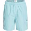imageQuiksilver Waterman Mens Standard Balance Volley 18 Boardshort Swim Trunk Still Water L