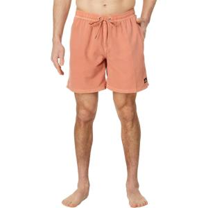 imageQuiksilver Mens Standard Everyday Surfwash 17 Volley Boardshort Swim TrunkCanyon Clay 241