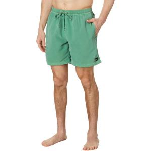 imageQuiksilver Mens Standard Everyday Surfwash 17 Volley Boardshort Swim TrunkFrosty Spruce 241