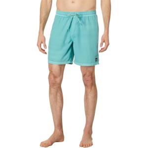 imageQuiksilver Mens Standard Everyday Surfwash 17 Volley Boardshort Swim TrunkMarine Blue 241