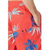 imageQuiksilver Mens Standard Everyday Mix 17 Volley Boardshort Swim TrunkCayenne 241