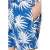 imageQuiksilver Mens Standard Everyday Mix 17 Volley Boardshort Swim TrunkMonaco Blue 241