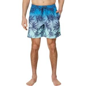 imageQuiksilver Mens Standard Everyday Mix 17 Volley Boardshort Swim TrunkBlue Fog 241