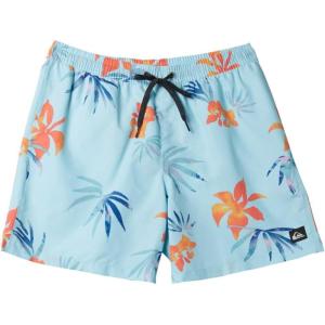 imageQuiksilver Mens Standard Everyday Mix 17 Volley Boardshort Swim TrunkLimpet Shell 241